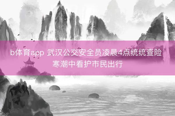 b体育app 武汉公交安全员凌晨4点统统查险 寒潮中看护市民出行