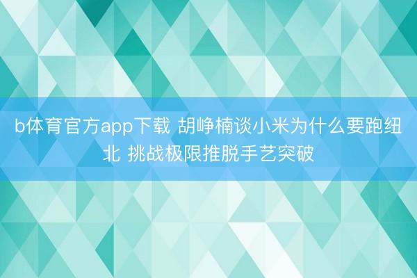 b体育官方app下载 胡峥楠谈小米为什么要跑纽北 挑战极限推脱手艺突破