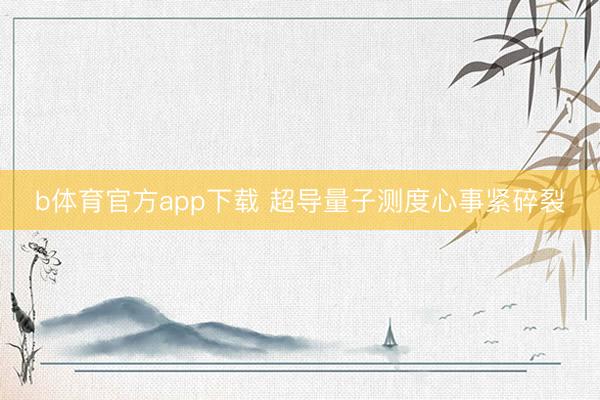 b体育官方app下载 超导量子测度心事紧碎裂