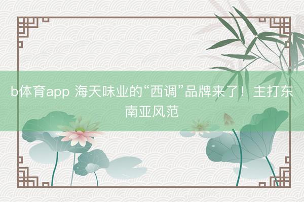 b体育app 海天味业的“西调”品牌来了！主打东南亚风范