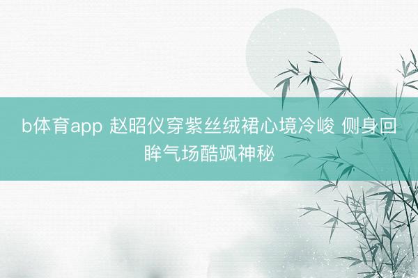 b体育app 赵昭仪穿紫丝绒裙心境冷峻 侧身回眸气场酷飒神秘