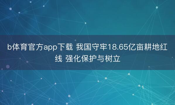 b体育官方app下载 我国守牢18.65亿亩耕地红线 强化保护与树立