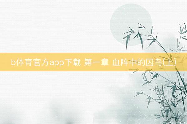 b体育官方app下载 第一章 血阵中的囚鸟(上)