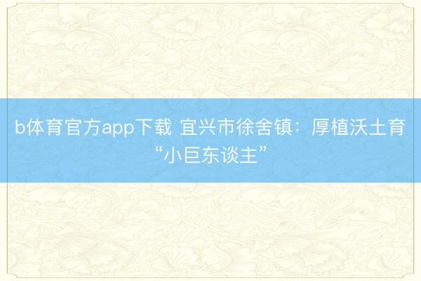 b体育官方app下载 宜兴市徐舍镇:厚植沃土育“小巨东谈主”