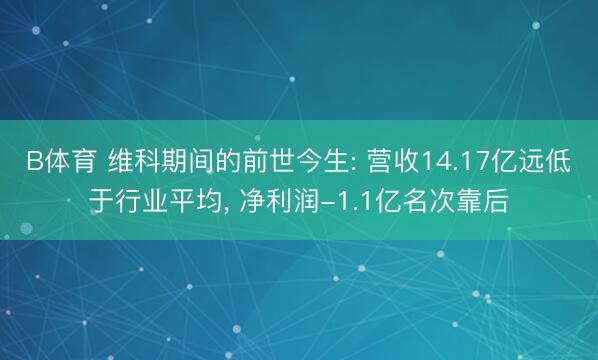 B体育 维科期间的前世今生: 营收14.17亿远低于行业平均， 净利润-1.1亿名次靠后