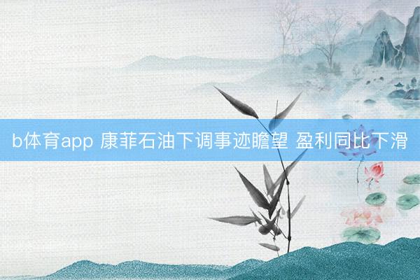 b体育app 康菲石油下调事迹瞻望 盈利同比下滑