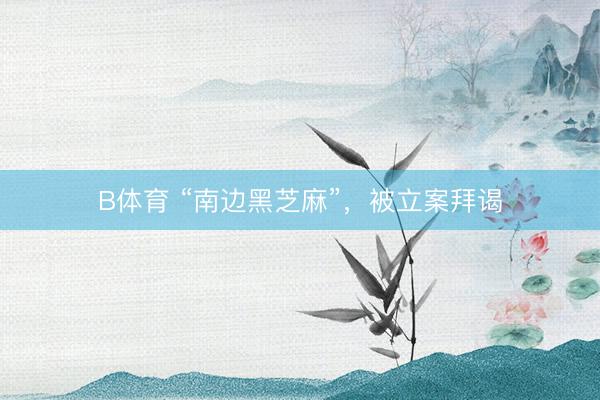 B体育 “南边黑芝麻”，被立案拜谒
