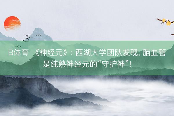 B体育 《神经元》: 西湖大学团队发现， 脑血管是纯熟神经元的“守护神”!